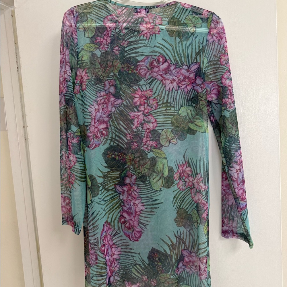 Ala Von Auersperg sheer top